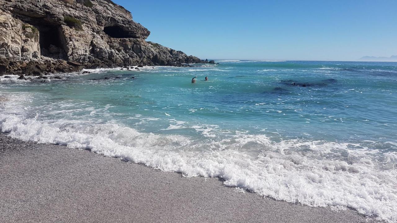 Whale Cove A103 Apartment De Kelders Bagian luar foto