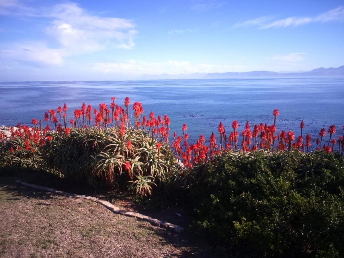 Whale Cove A103 Apartment De Kelders Bagian luar foto